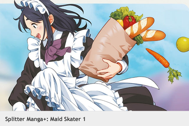https://www.ppm-vertrieb.de/Maid-Skater-1::322573.html